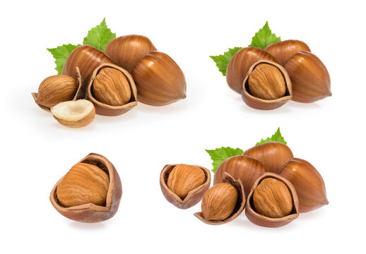 Hazelnuts isolated on white background