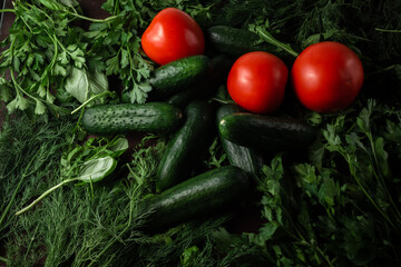 lettuce arugula dill with parsley cucumbers and tomatoes on a wooden table