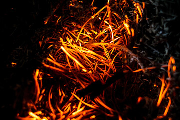 Fototapeta na wymiar fire/combustion/Black background