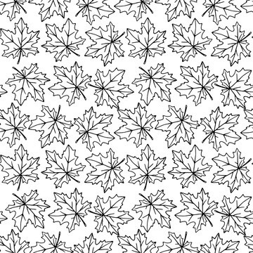 Seamless pattern of contoured maple leaves isolated on white background. Simple vector texture for fabric, invitations, home textiles. Concept of autumn, forest, leaf fall, thanksgiving