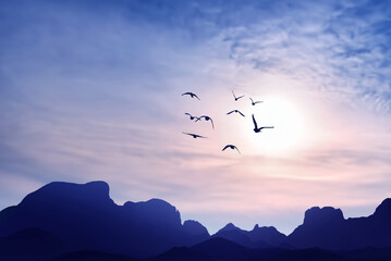 Birds fly into sunset in the blue mountains - 378062345