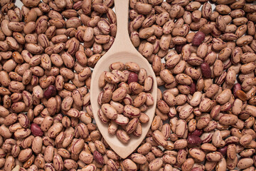 Obraz premium Bean paints organic legume in wooden spoon