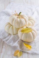 Thanksgiving white pumkins with autumn leaves