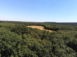 Fototapeta na wymiar Forêt en Bourgogne, vue aérienne