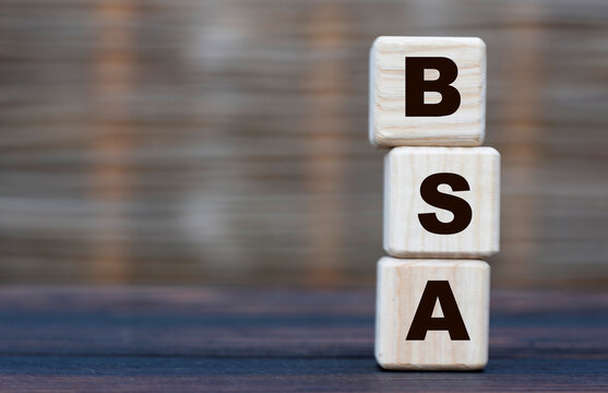 BSA is a cubed word on a gray blurred background. Near wooden man