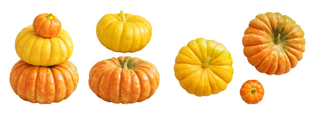 Natural pumpkin isolated on white background. Autumn set for design without shadows.