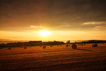 autumn late summer crop season early morning sunrise in the stubble wheat grain field with haystacks