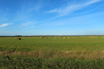 Field in Bashkiria with hay billets