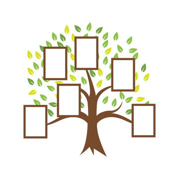 Family tree illustration template design vector