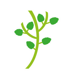 leaves and branches, white background vector illustration 