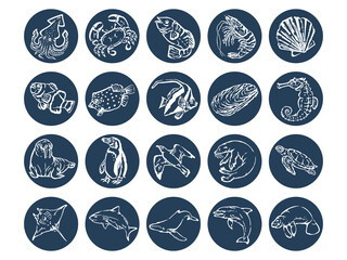 vector illustration set of animals. Such as squid, crab, fish, shrimp, seal, seahorse, walrus, shark, dolphin, stingray and manatee.