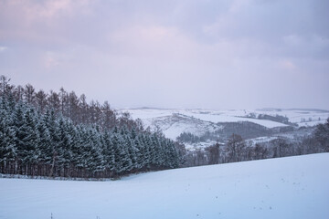 冬の美瑛の丘 / 北海道美瑛町の観光イメージ