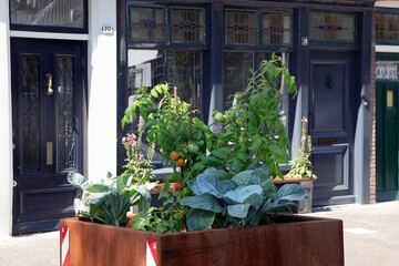 urban gardening als verkehrsberuhigung