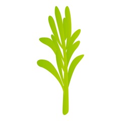 Rosemary branch icon. Cartoon of rosemary branch vector icon for web design isolated on white background