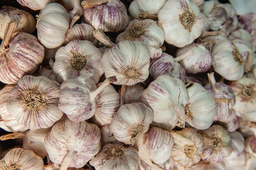 Garlic bulbs are on the counter in the market. garlic crop is harvested for sale in the market. Top view, vegetable background