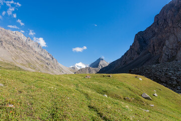 Mountain landscape view in Kyrgyzstan. Green grass in mountain valley view. Mountain panorama.