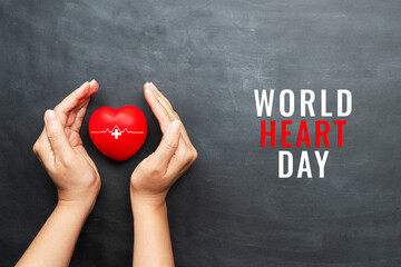 World heart day concept of young woman hand protecting red heart on black background