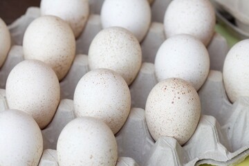 Macro image of turkey eggs in crate
