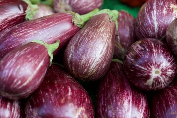 Macro image of striped egg plants