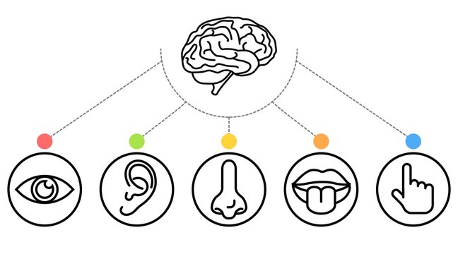Two sets of icons representing the five senses
