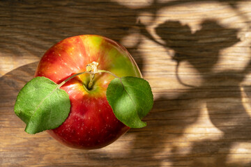 One red apple on the table with green leaves.  The apple is lit by the sun through the foliage. Shadows on the table. Place for text. Top view.