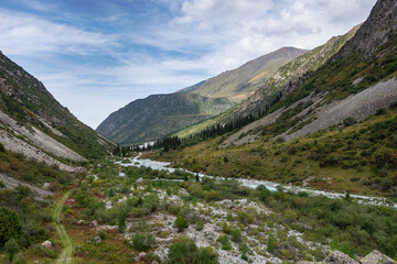 Fototapeta na wymiar Mountain landscape view in Kyrgyzstan. Green grass in mountain valley view. Mountain panorama.