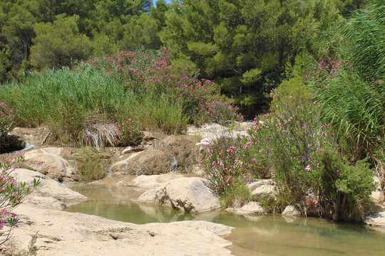 Fuente Caputa, Mula, Murcia