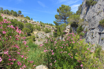 Fuente Caputa, Mula, Murcia