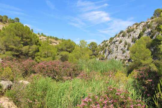 Fuente Caputa, Mula, Murcia