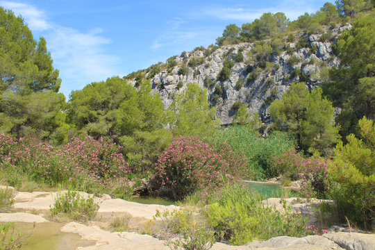 Fuente Caputa, Mula, Murcia