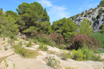 Fuente Caputa, Mula, Murcia