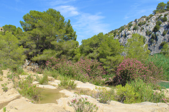 Fuente Caputa, Mula, Murcia