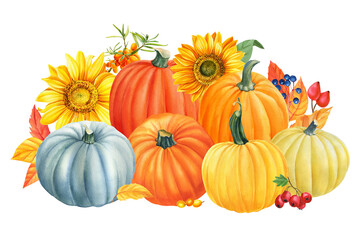 autumn composition of pumpkins and flowers sunflowers, thanksgiving day, cornucopia white background, watercolor