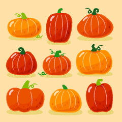 Variety of pumpkins for Thanksgiving and Halloween Festival in October. Autumn festival. Happy halloween.
