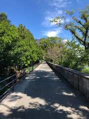 気持ちの良い公園