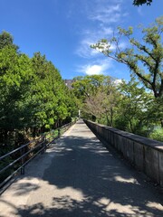 Fototapeta premium 気持ちの良い公園