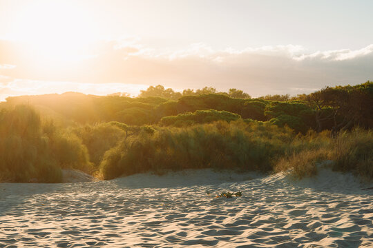 Desert dunes at sunset in Islantilla, Huelva.