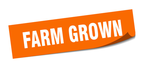 farm grown sticker. square isolated label sign. peeler