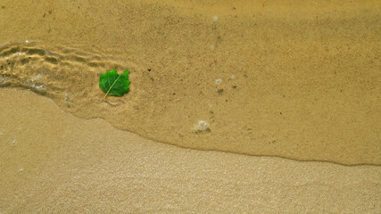 green birch leaf on the sandy river Bank with a wave of clear water