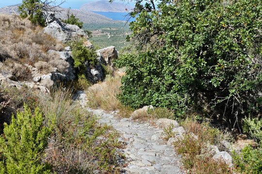 landscape in crete