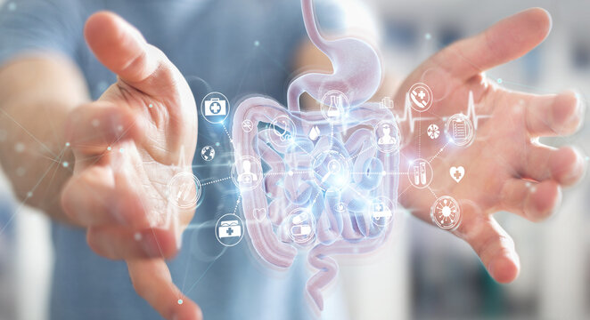 Man using digital x-ray of human intestine holographic scan projection 3D rendering