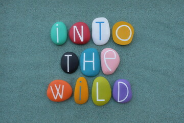 Into the wild, lifestyle motivational slogan text with colored letters