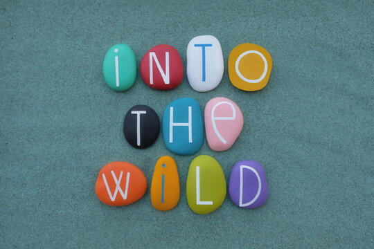 Naklejki Into the wild, lifestyle motivational slogan text with colored letters