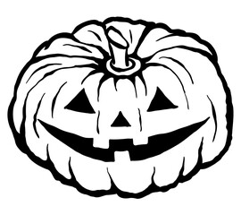 Halloween pumpkin isolated on white background. Graphic hand drawn ink pumpkin vector illustration. Thanksgiving decoration.