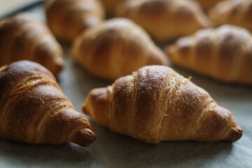 fresh baked croissant