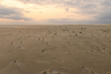 Sunset on the beach on the Island Schiermonnikoog. Beautiful beach in the Netherlands.