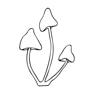recommend clip art: Isolated hand drawn vector illustration of three mushrooms in doodle style. Botanical illustration, element of autumn. Graphic element.