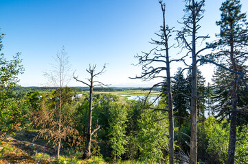 Fototapeta premium Kuhavuori mount in Sortavala
