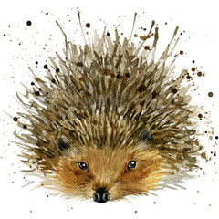 cute watercolor cartoon hedgehog. forest animal illustration.