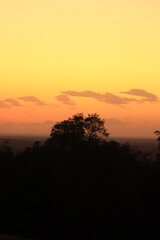 orange and yellow sunset with a tree